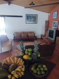 Farm - country house inside a stud farm