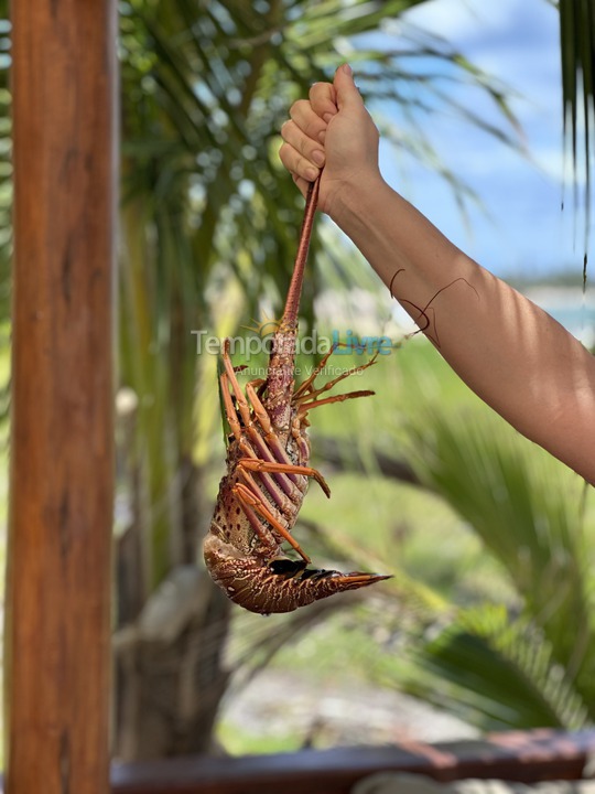 House for vacation rental in Ipojuca (Praia de Serrambi)