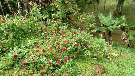 Wonderful place with swimming pool, lake, stream, court 100kms from SP.