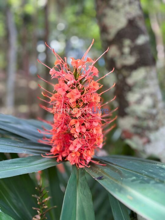 Ranch for vacation rental in Juquitiba (Eva)