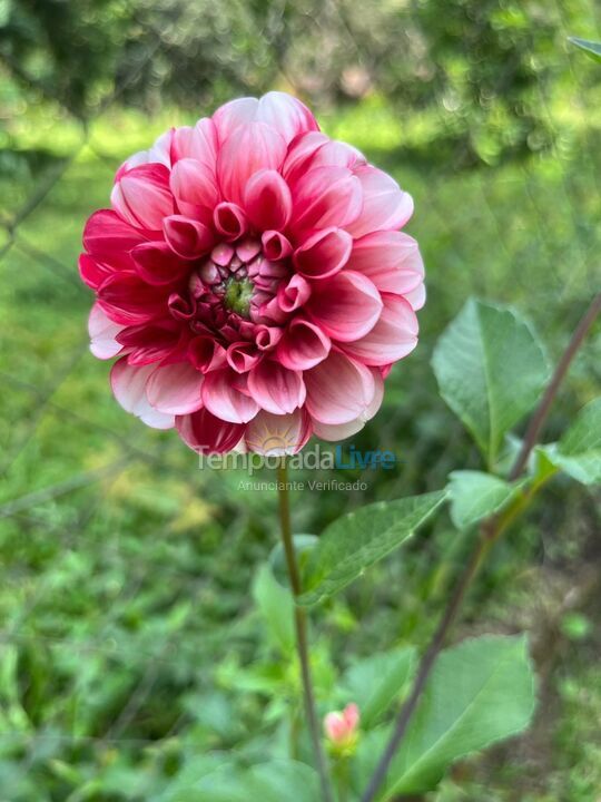 Ranch for vacation rental in Juquitiba (Eva)