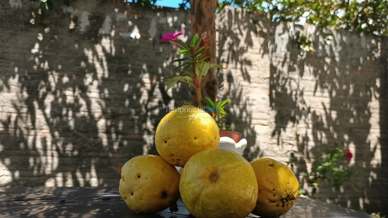 Casa para aluguel de temporada em Governador Celso Ramos (Fazenda da Armação)