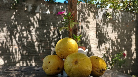 Hogar, tranquilidad, comodidad y playas paradisíacas