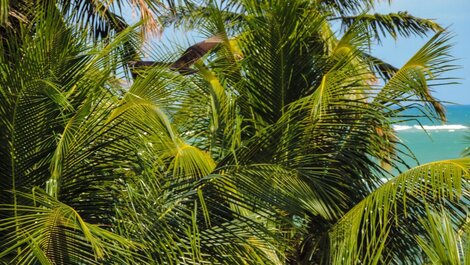 Azotea en Playa Milagros | Cerca de la pequeña iglesia