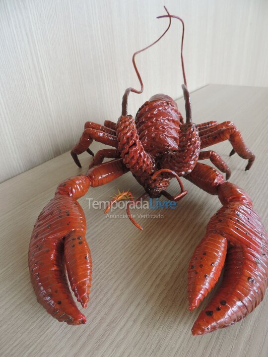 Casa para aluguel de temporada em Porto de Pedras (Praia do Patacho)