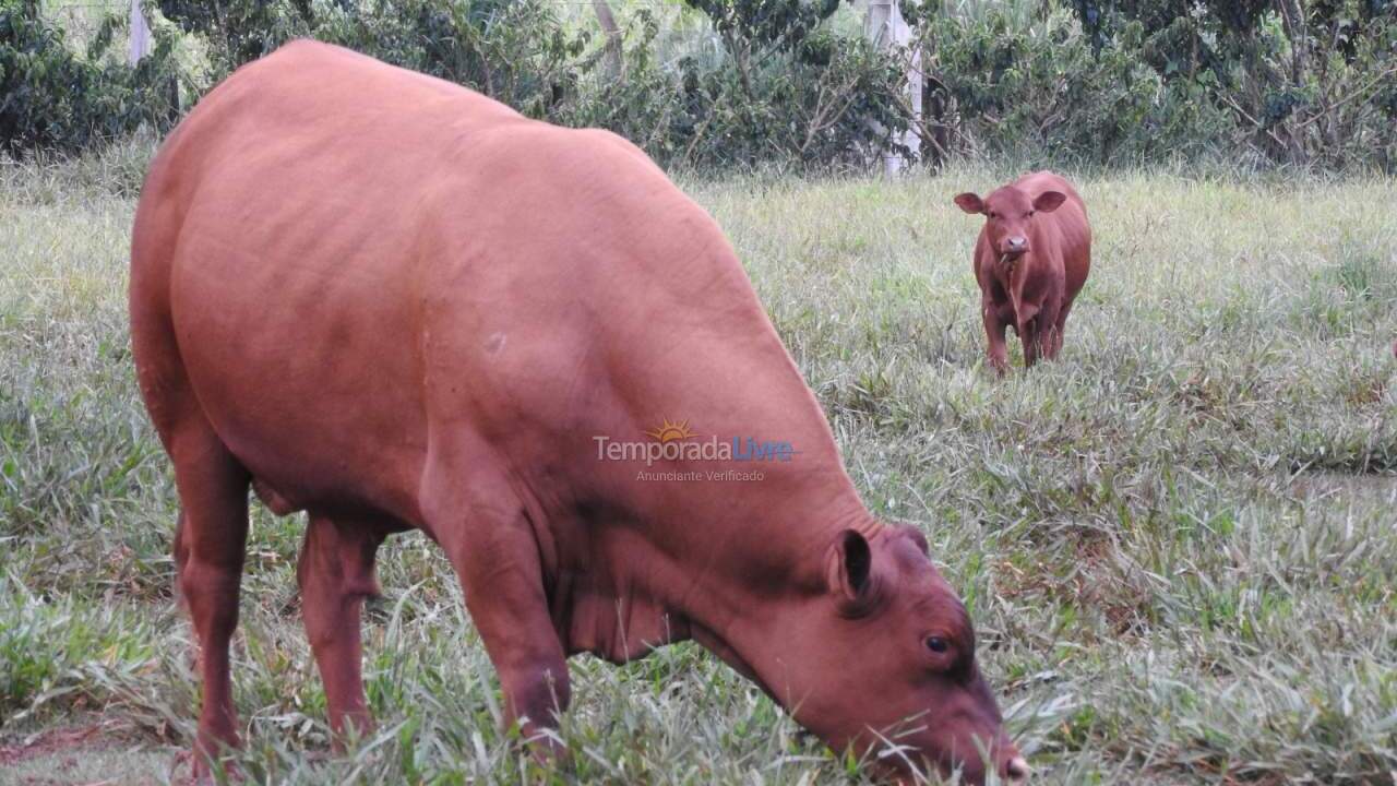 House for vacation rental in Cesário Lange (Haras Vtp)