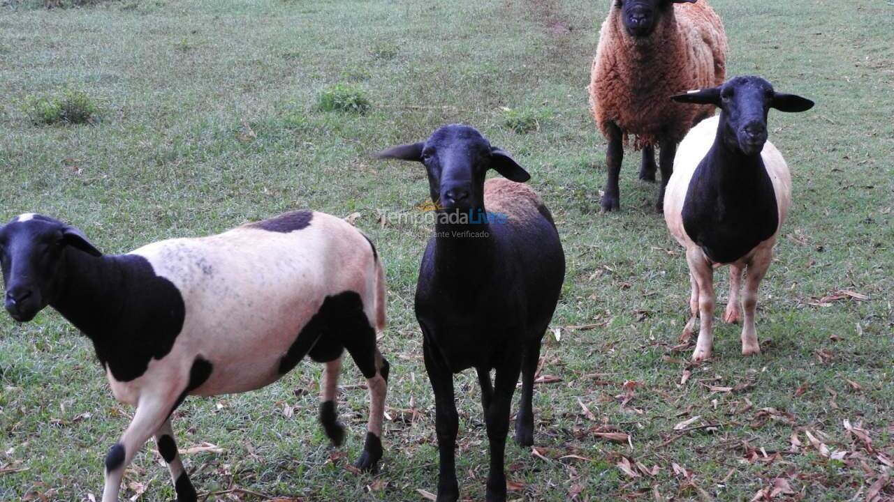 House for vacation rental in Cesário Lange (Haras Vtp)