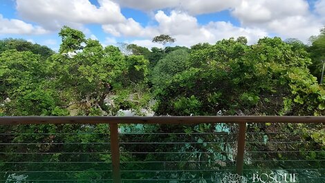 Bosque Aldeia dos Camarás