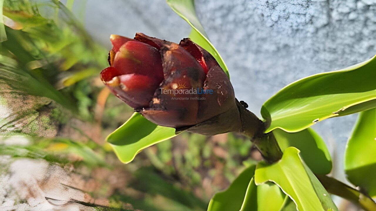 Apartamento para alquiler de vacaciones em Camaragibe (Aldeia dos Camaras)