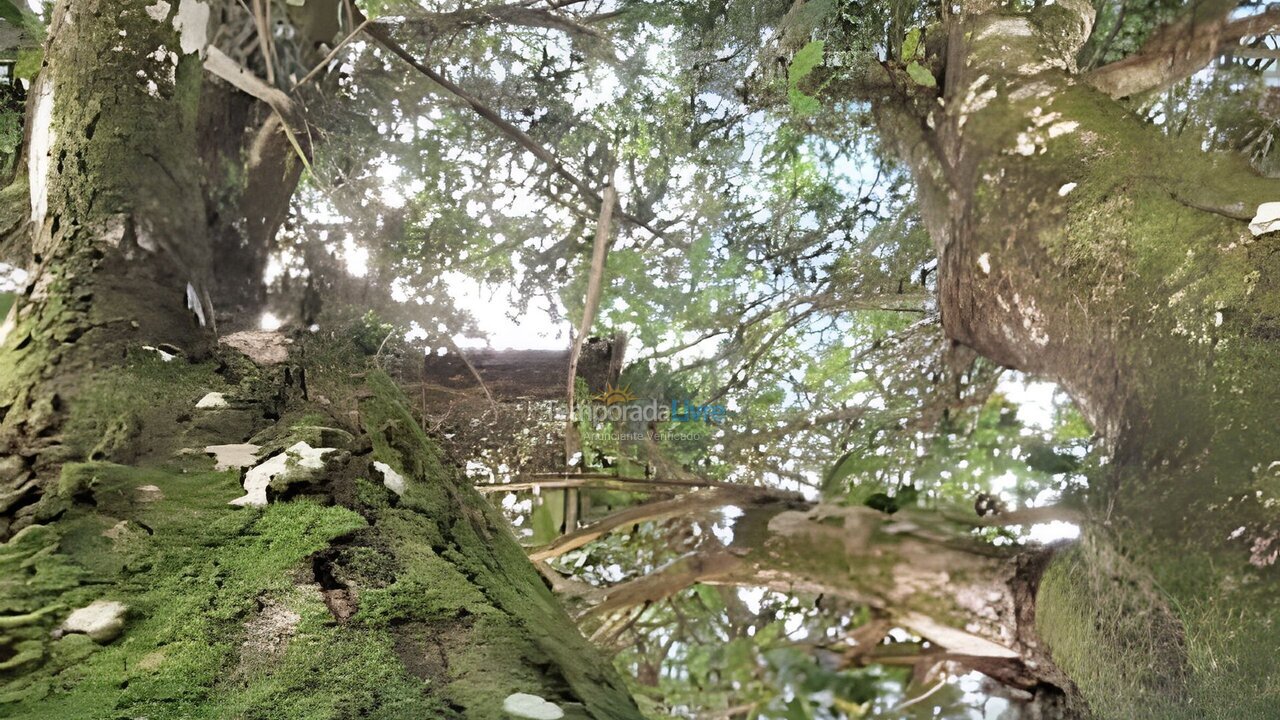 Apartamento para aluguel de temporada em Camaragibe (Aldeia dos Camaras)