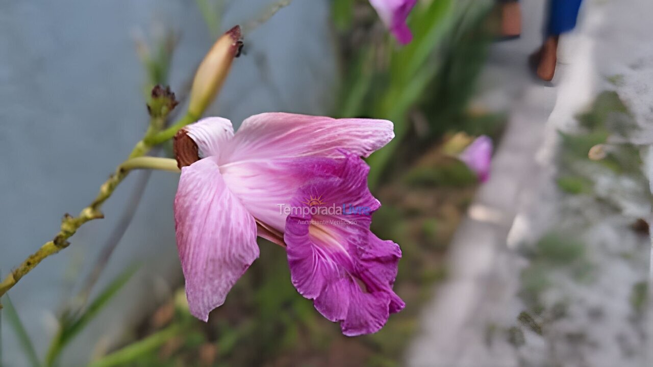 Apartment for vacation rental in Camaragibe (Aldeia dos Camaras)