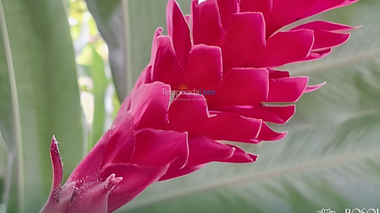 Apartamento para alquiler de vacaciones em Camaragibe (Aldeia dos Camaras)