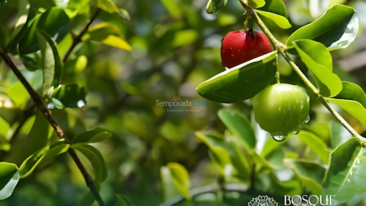 Apartamento para alquiler de vacaciones em Camaragibe (Aldeia dos Camaras)