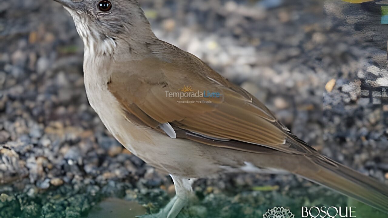 Apartamento para alquiler de vacaciones em Camaragibe (Aldeia dos Camaras)