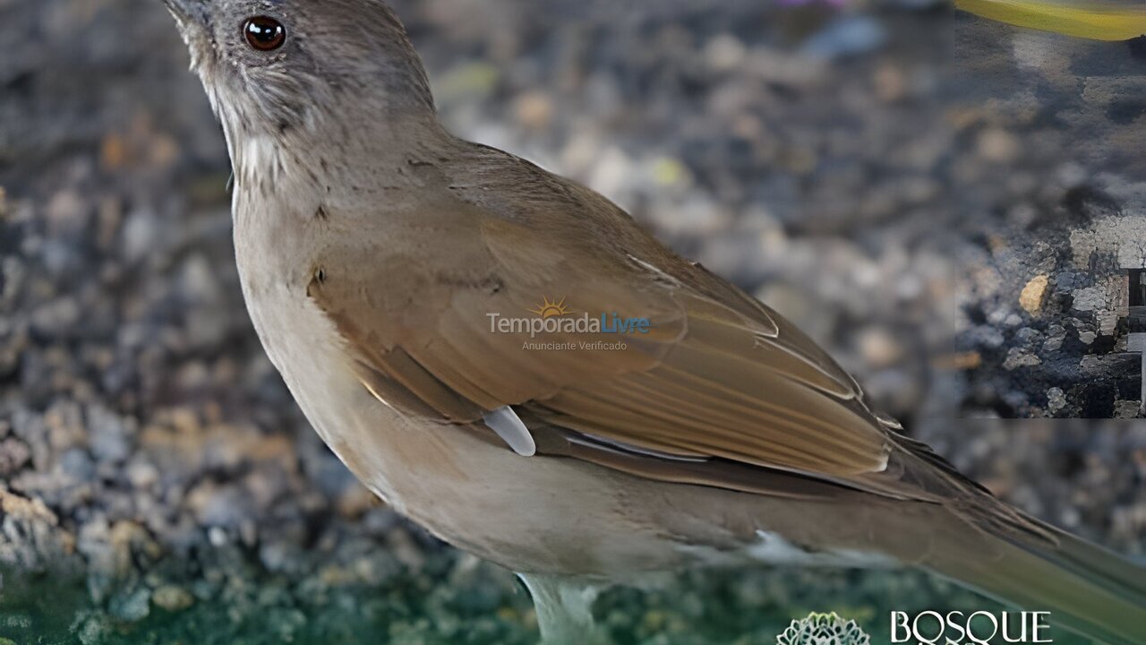 Apartamento para alquiler de vacaciones em Camaragibe (Aldeia dos Camaras)