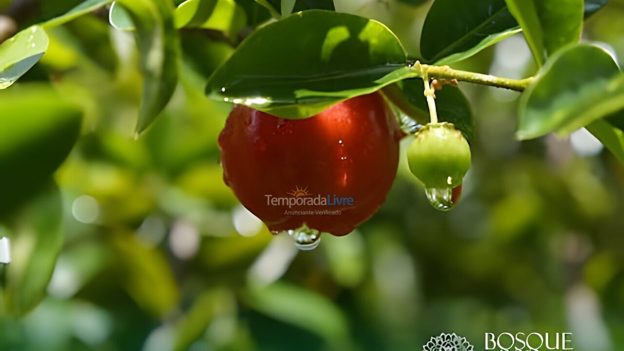 Apartment for vacation rental in Camaragibe (Aldeia dos Camaras)