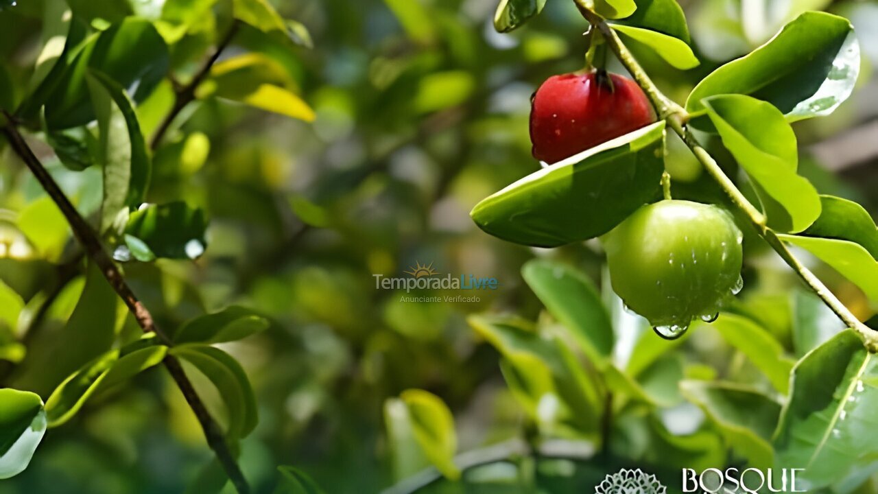 Apartment for vacation rental in Camaragibe (Aldeia dos Camaras)