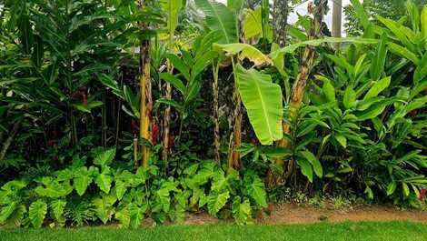 Piscina em 600 m2 de jardim