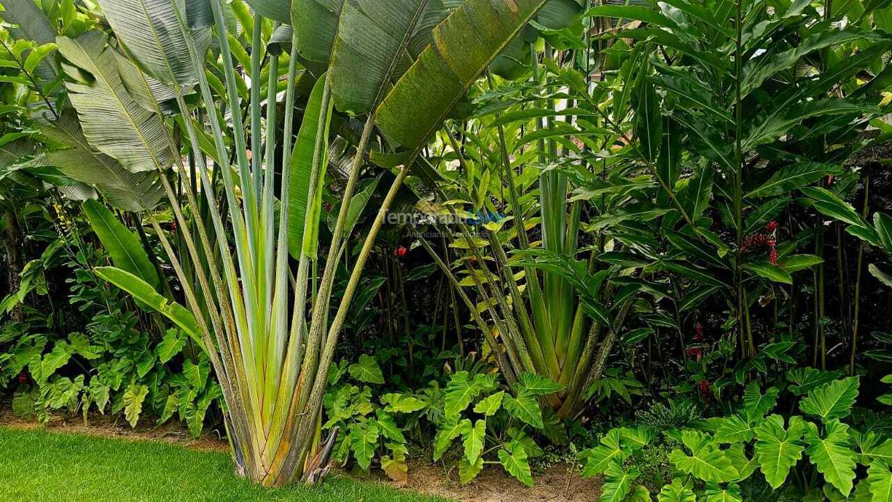 Casa para aluguel de temporada em São Sebastião (Juquehy)
