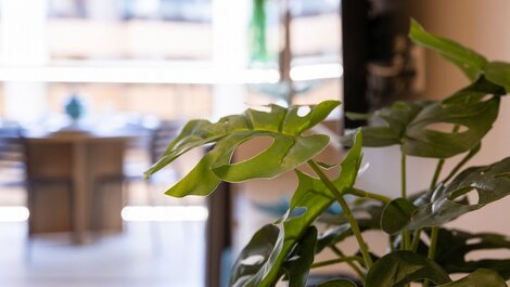 Atlantic Paradise #410A - Charm by Carpediem