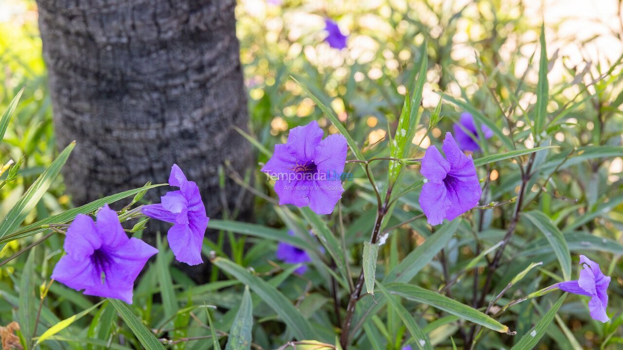 Apartment for vacation rental in Cabedelo (Pb Ponta de Campina)