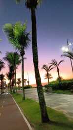 Excelente bairro, tranquilo e com muitas opções de lazer com bares próximos 