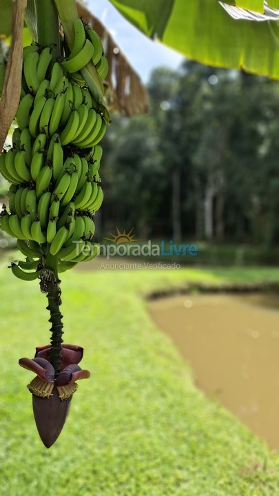 Chácara / sítio para aluguel de temporada em Ibiúna (Ibiuna)