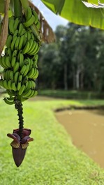 Chácara para temporadas e festas Recanto JP