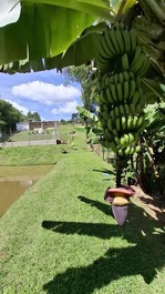 Chácara para temporadas e festas Recanto JP