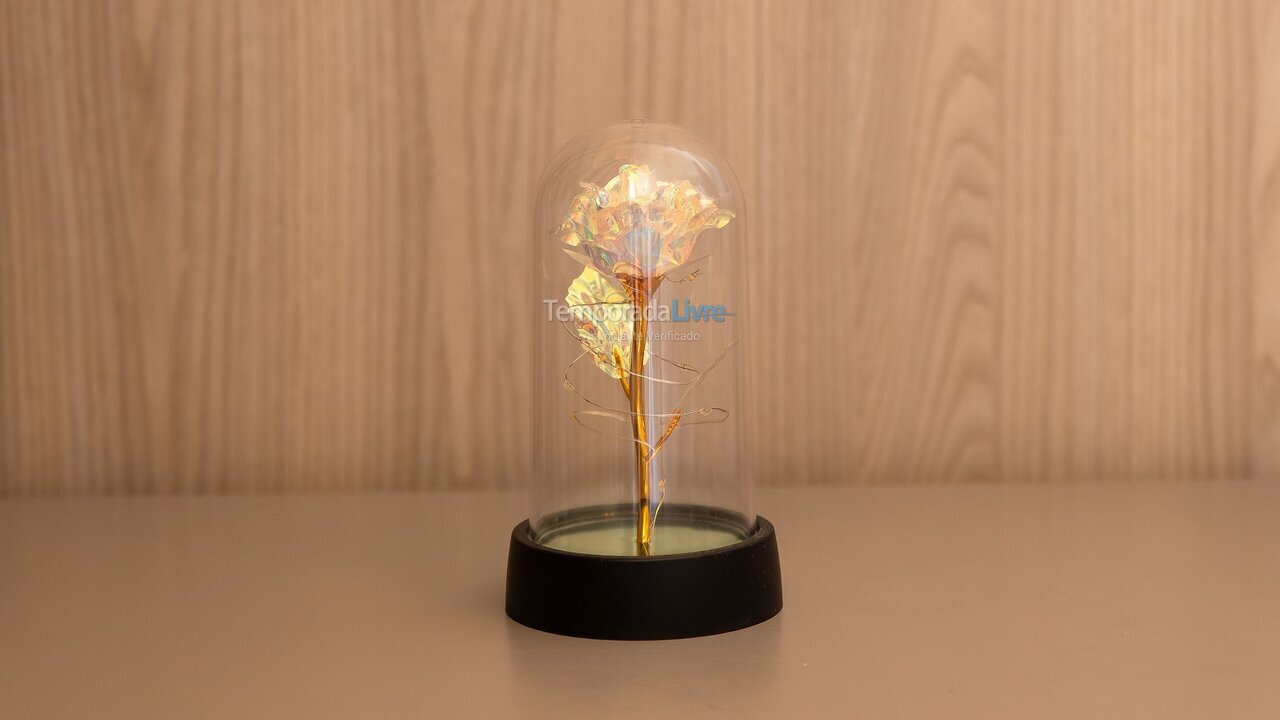 Apartment for vacation rental in João Pessoa (Pb Praia de Tambaú)