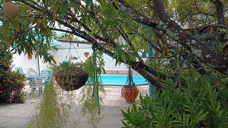 Visão do deck da piscina. bastante arborizado