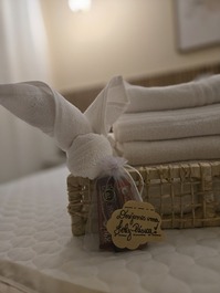 Casa para alugar em Miguel Pereira - Governador Portela