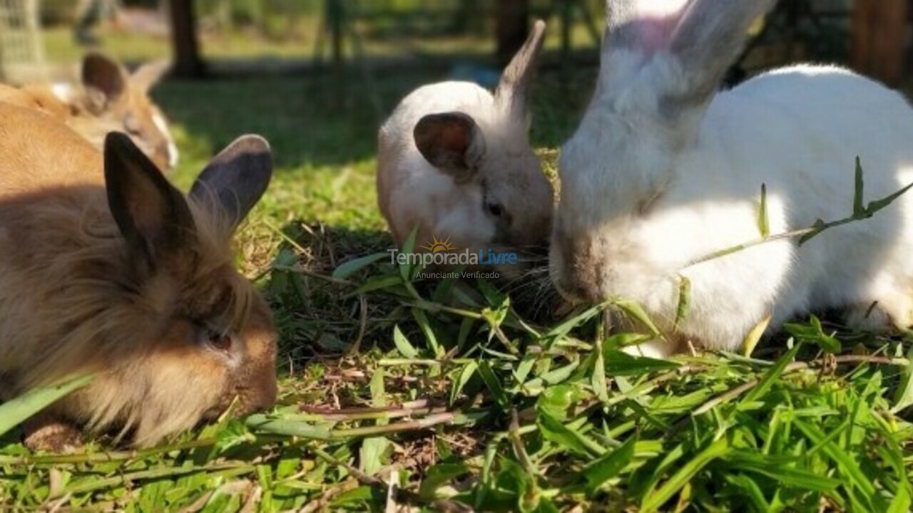 Ranch for vacation rental in Joinville (Vila Nova)