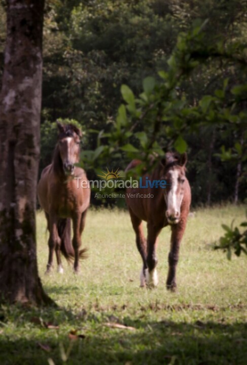 Ranch for vacation rental in Joinville (Vila Nova)