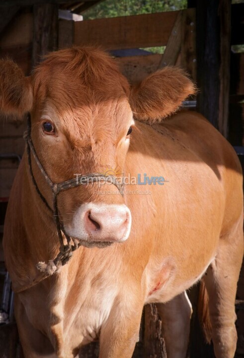 Ranch for vacation rental in Joinville (Vila Nova)