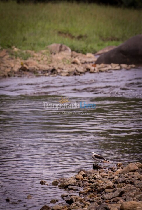 Ranch for vacation rental in Joinville (Vila Nova)