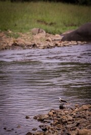 House on the Farm - Trail, animals, rivers and nature