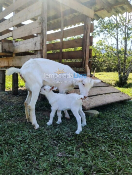 Ranch for vacation rental in Joinville (Vila Nova)