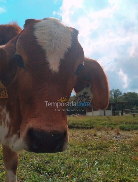 Ranch for vacation rental in Joinville (Vila Nova)