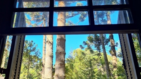 Cabana em terreno amplo, pet friendly