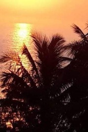 Wonderful ocean views, tranquility, and abundant nature.