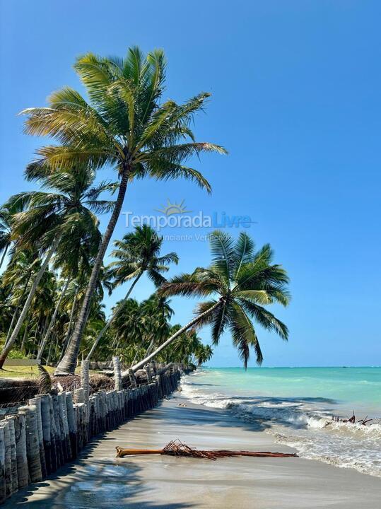 Apartamento para aluguel de temporada em Maragogi (Praia de Barra Grande 5 Suítes)