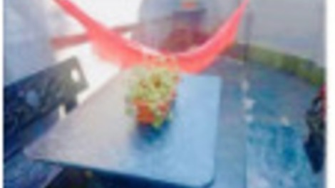 CONT 2220 - Casa espaçosa com piscina Floresta