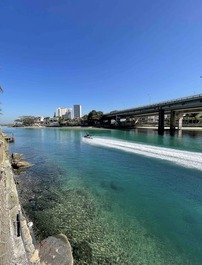 Casa com saída para o Mar! Barra da Tijuca / Joá