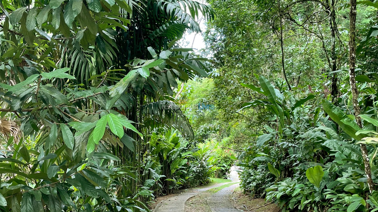 Casa para aluguel de temporada em São Sebastião (Camburi)