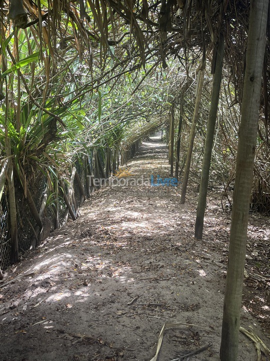 House for vacation rental in Maraú (Taipu de Fora)