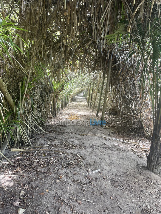 House for vacation rental in Maraú (Taipu de Fora)