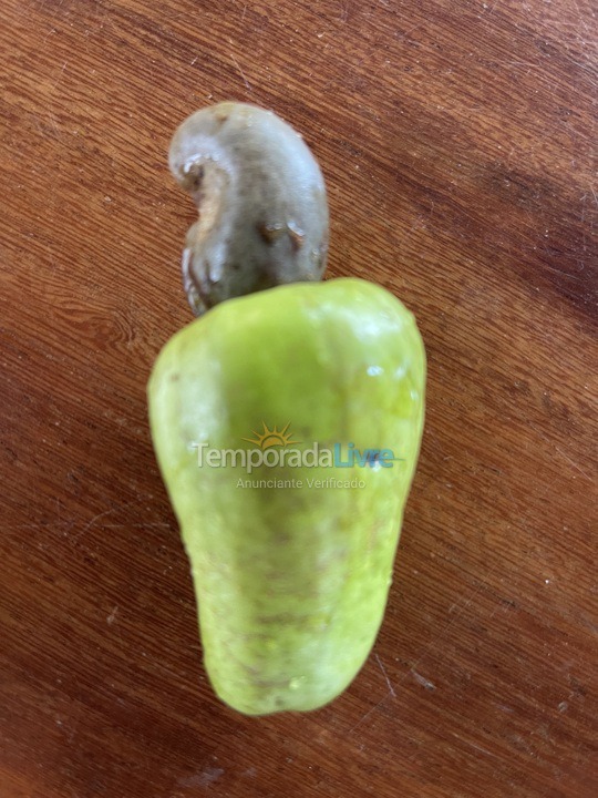 House for vacation rental in Maraú (Taipu de Fora)