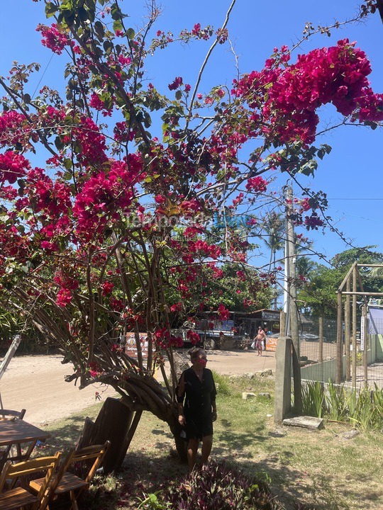 House for vacation rental in Maraú (Taipu de Fora)