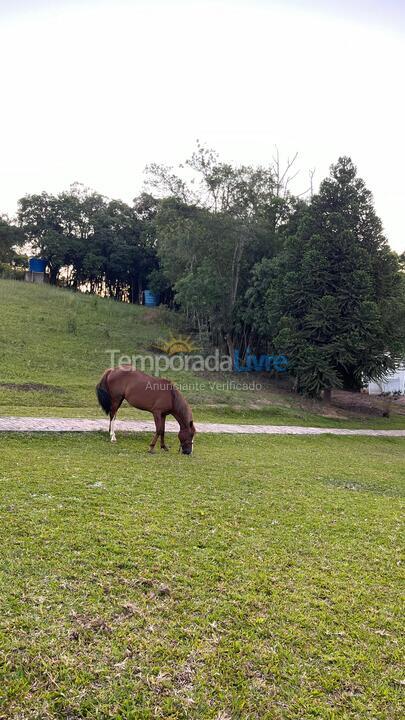 Chácara / sítio para aluguel de temporada em Mandirituba (Colônia Matos)